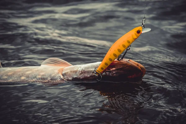 Angeln Auf Dem See Hintergrund Der Fischerei — Stockfoto