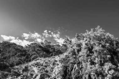 Deniz kenarındaki güzel resort peyzaj