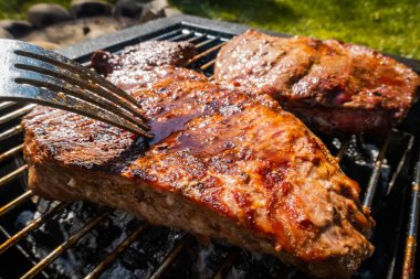 Izgara biftek, kamp. Taşınabilir ızgara