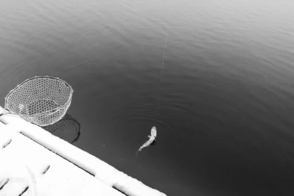 Łowienie Szczupaków Jeziorze Rekreacja Połowowa — Zdjęcie stockowe