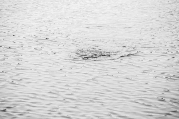 Hechtangeln Auf Dem See Freizeitfischerei — Stockfoto