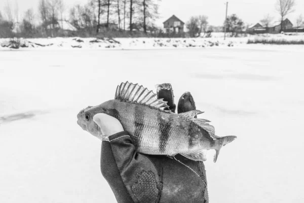 Риболовля Крижаному Фоні — стокове фото