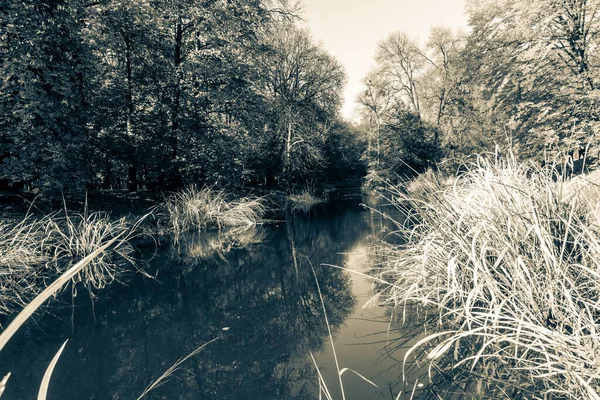 Superbe Automne Dans Magnifique Parc Historique — Photo