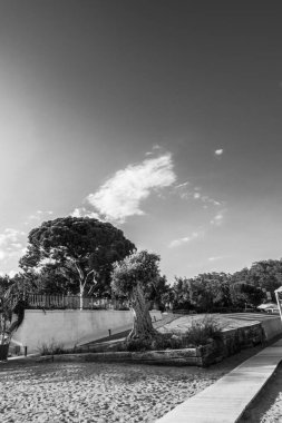 Deniz kenarındaki güzel resort peyzaj