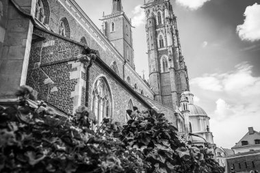 Muhteşem Mimarlık ve Kırbaç Kiliseleri