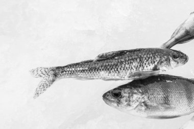 Buz gibi gölde kış balıkçılığı