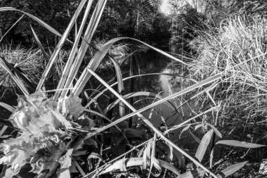 Güzel bir tarihi parkta muhteşem bir sonbahar.