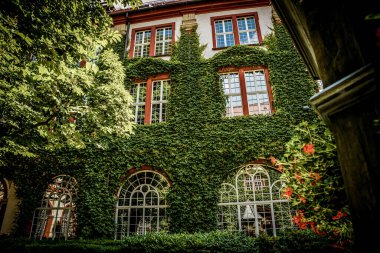 Wroclaw, Polonya - 17 Haziran 2019. Eski Polonya şehrinin mimarisi. Pençe