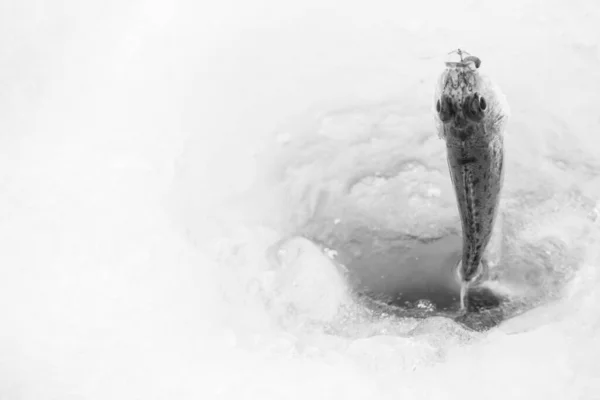 Winter Ice Fishing Frosty Lake — Stock Photo, Image