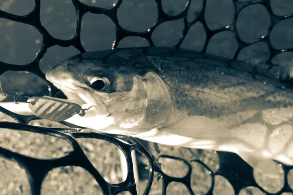 Pesca Esporte Recreação Fundo — Fotografia de Stock