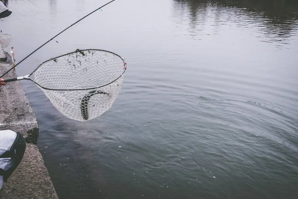 湖でのマス釣り スポーツフィッシング アウトドアアクティビティ — ストック写真