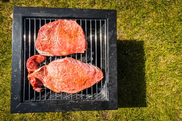 Filetes Parrilla Camping Parrilla Portátil —  Fotos de Stock