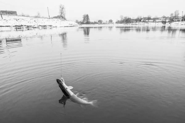 Pesca Esporte Recreação Fundo — Fotografia de Stock