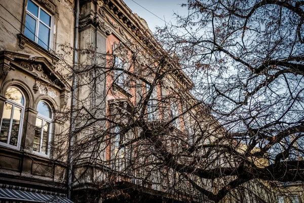 Lviv Ucrânia Janeiro 2019 Magnífica Arquitetura Inverno Lviv Ruas — Fotografia de Stock