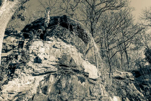 Nádherný Podzim Krásném Historickém Parku — Stock fotografie