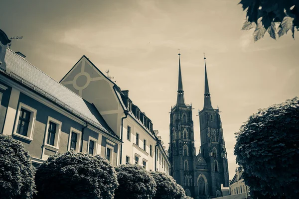 Wroclaw Güzel Kiliseleri Çekicilik Avrupa Seyahat — Stok fotoğraf