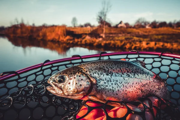 Pêche Pêche Sur Lac — Photo