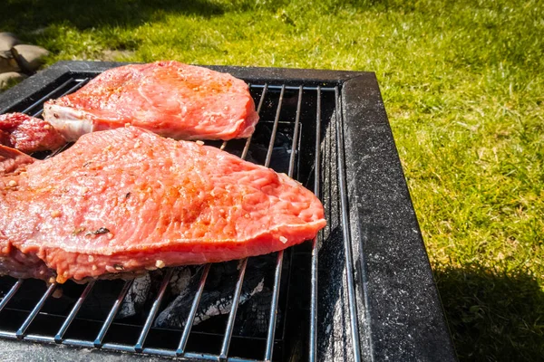 Steaks Grillen Campen Tragbarer Grill — Stockfoto