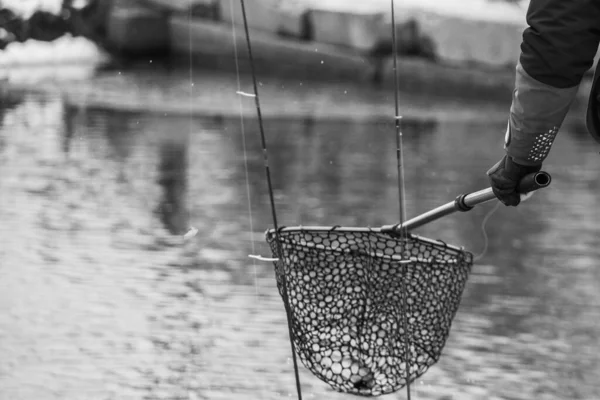 Форель Риболовля Темний Фон — стокове фото