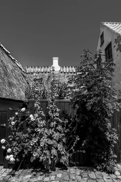 Belle Architecture Danoise Dans Village Pittoresque — Photo