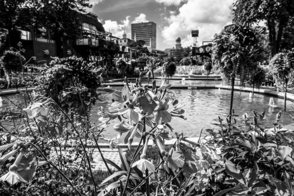 Hermoso Parque Jardín Copenhague Atracciones Turísticas — Foto de Stock