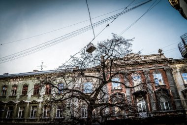 Lviv, Ukrayna - 23 Ocak 2019. Muhteşem kış Lviv mimarisi ve sokakları