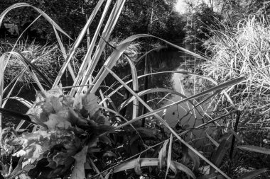 Güzel bir tarihi parkta muhteşem bir sonbahar.