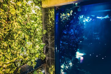 İç kısımda taze çiçekler var.