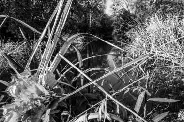 Güzel bir tarihi parkta muhteşem bir sonbahar.