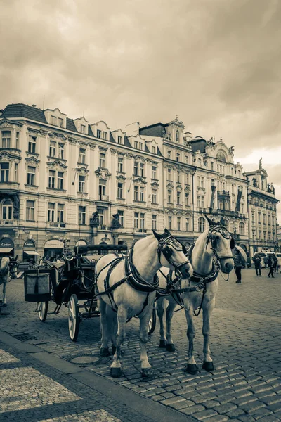 Belle Strade Architettura Autunno Praga — Foto Stock