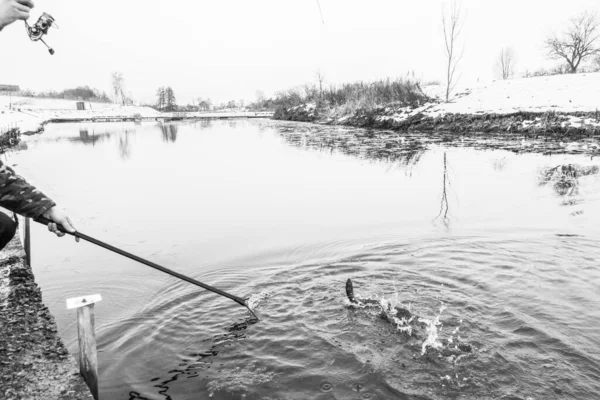 Öring Fiske Sjön — Stockfoto
