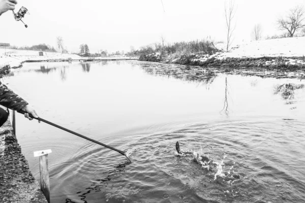 Rybaření Pstruhů Jezeře — Stock fotografie