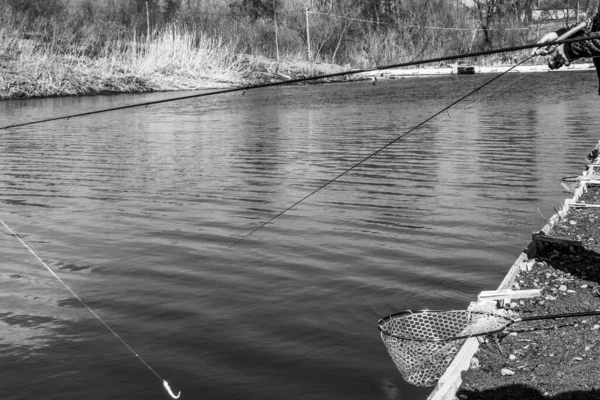 Pêche Truite Sur Lac — Photo