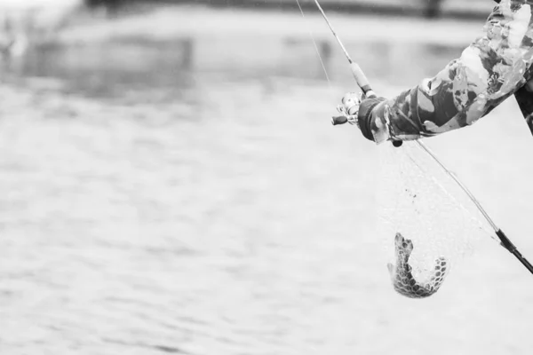 Pesca Truta Fundo Escuro — Fotografia de Stock