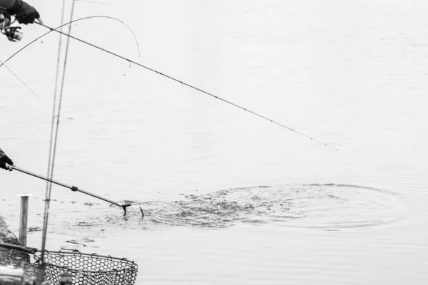 Forellenangeln Auf Dem See — Stockfoto