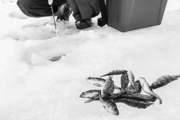 Winter Eisangeln Frostigen See — Stockfoto