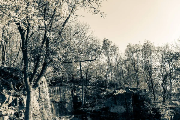 Outono Lindo Belo Parque Histórico — Fotografia de Stock