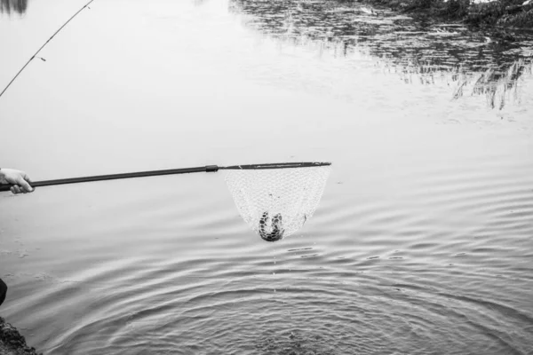 Pesca Alla Trota Sul Lago — Foto Stock