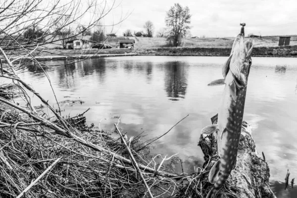 Pêche Loisirs Plein Air Sur Fond Lac — Photo