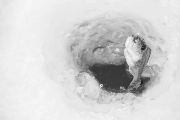 Inverno Pesca Sul Ghiaccio Nel Lago Ghiacciato — Foto Stock