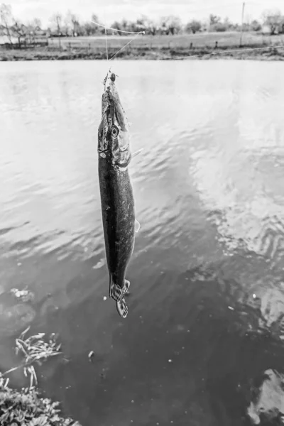 Pêche Repos Rural Contexte Sur Thème Des Loisirs — Photo