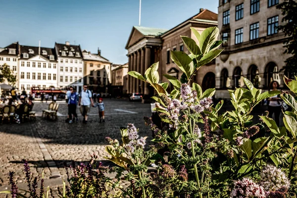 Kopenhagen Dänemark Juli 2019 Kopenhagen City Dänemark Skandinavien Schöner Sommertag — Stockfoto