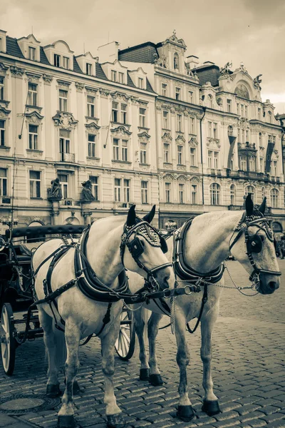 Beautiful Streets Architecture Autumn Prague Royalty Free Stock Images