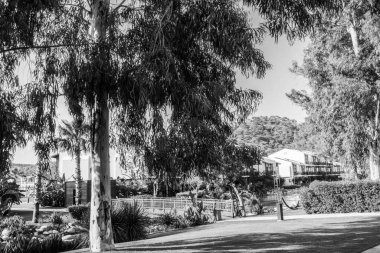 Güzel tatil beldesi. Yeşil ve çiçekler