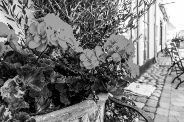 Kopenhag Şehri, Danimarka, İskandinavya. Güzel bir yaz günü