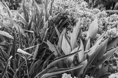 Deniz kenarındaki güzel resort peyzaj