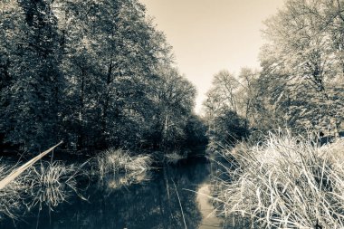 Güzel bir tarihi parkta muhteşem bir sonbahar.