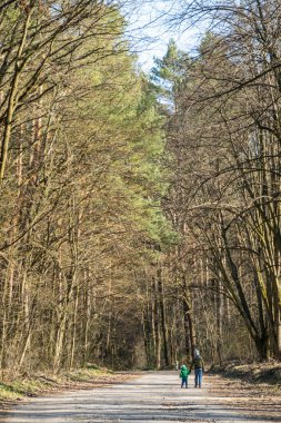 Çocuklar ormanda yürür. Yalıtım