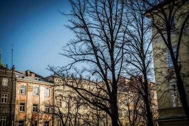 Lviv, Ukrayna - 23 Ocak 2019. Muhteşem kış Lviv mimarisi ve sokakları