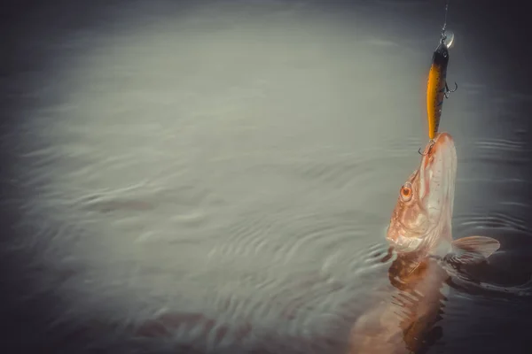 Риболовля Озері Рибальський Фон — стокове фото